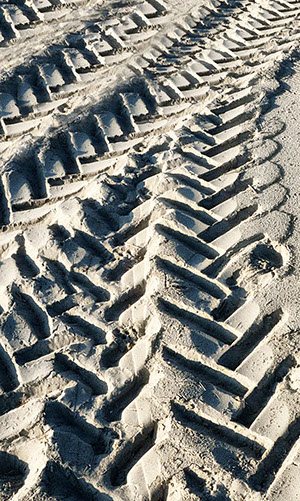 Dissertation vs thesis image